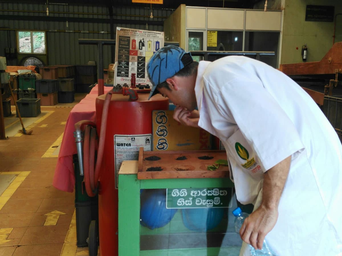 At Nandana Tea Factory