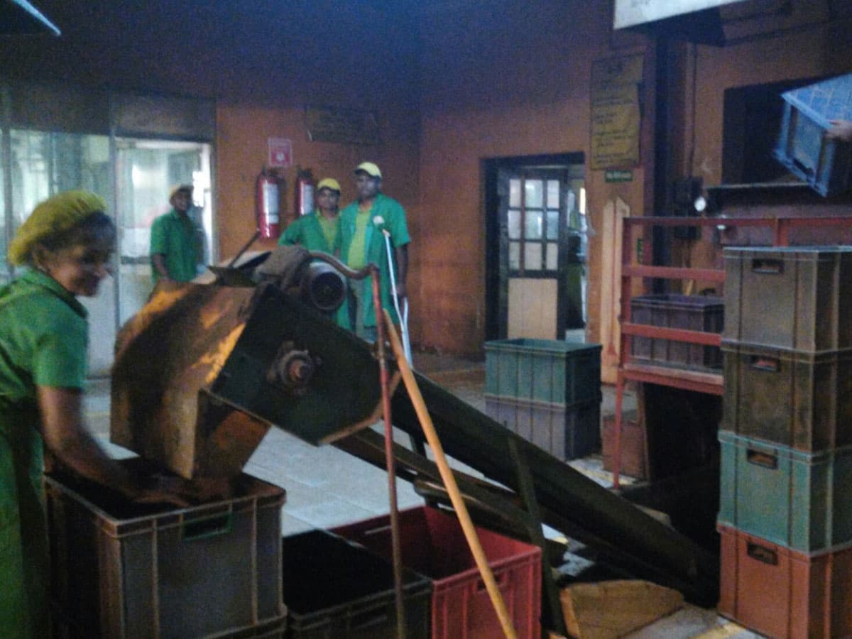 At Nandana Tea Factory