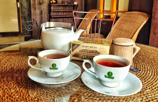 Resting at the working tea factory