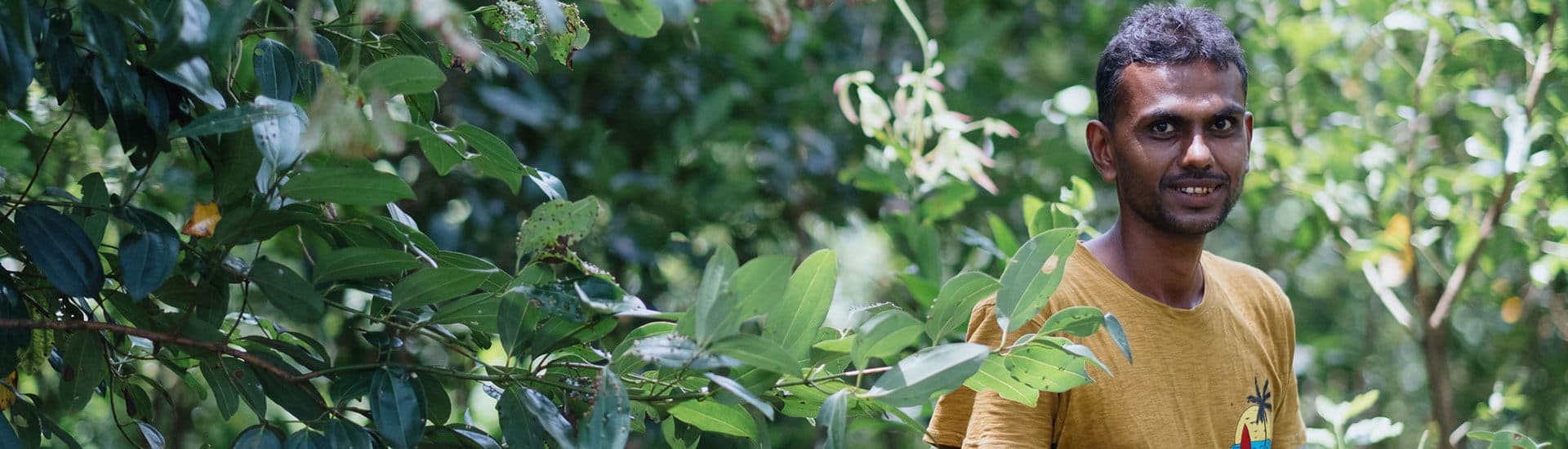 The Nandana Tea community