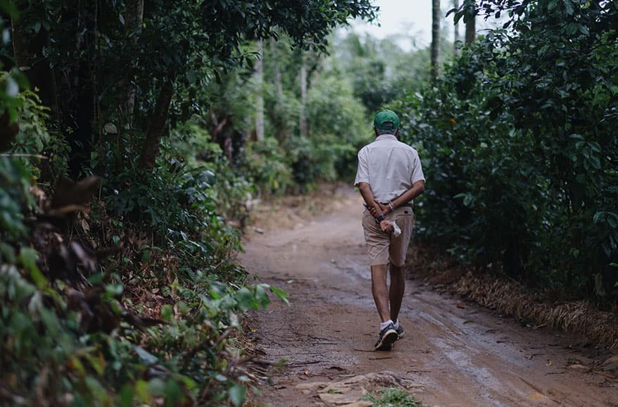 Life at Nandana Tea