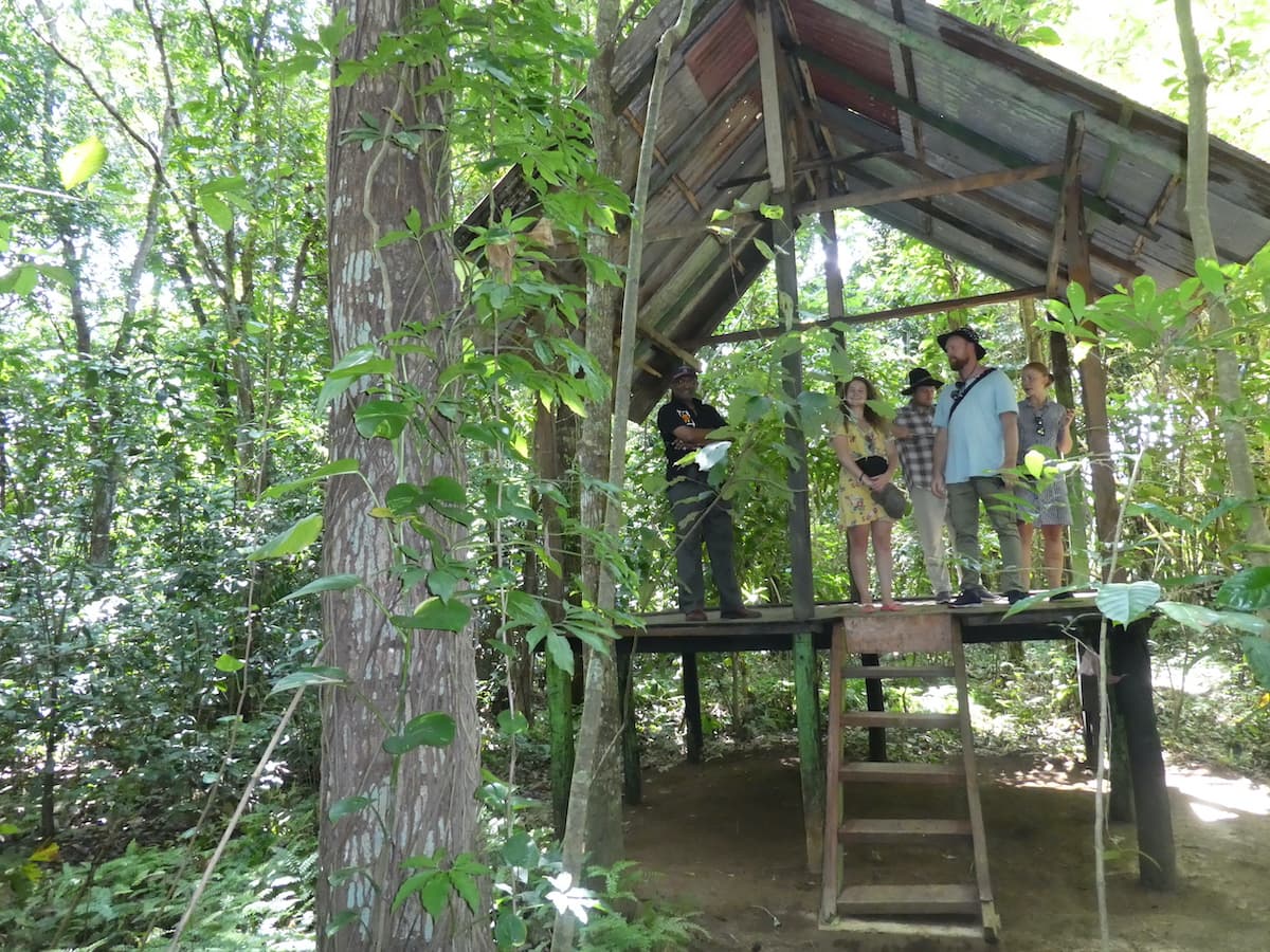 The grounds at Nandana Tea Factory