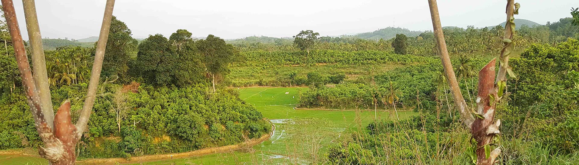 Cinnamon Republic villa at Kamburupitiya