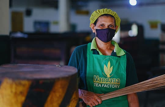 The Nandana team at work