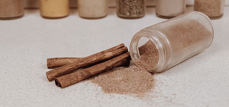 Cinnamon : The history – The Invasion – The Revelation